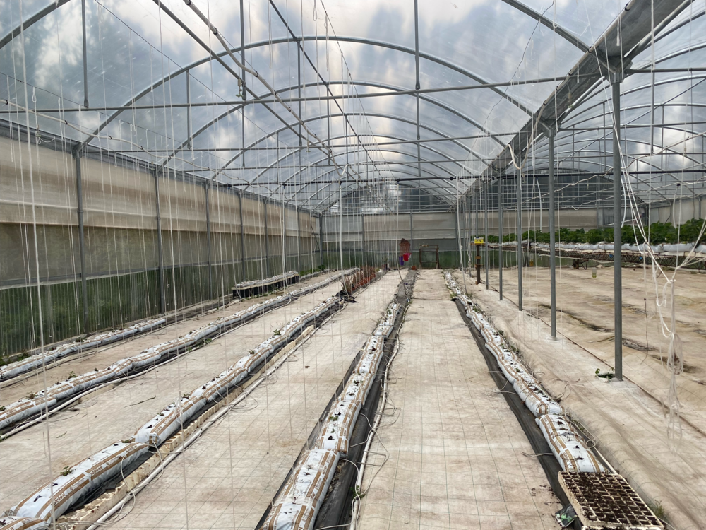 photo de Visite à Macomer concernant la réalisation du jardin social